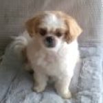 Photo de Profil de le-rebell